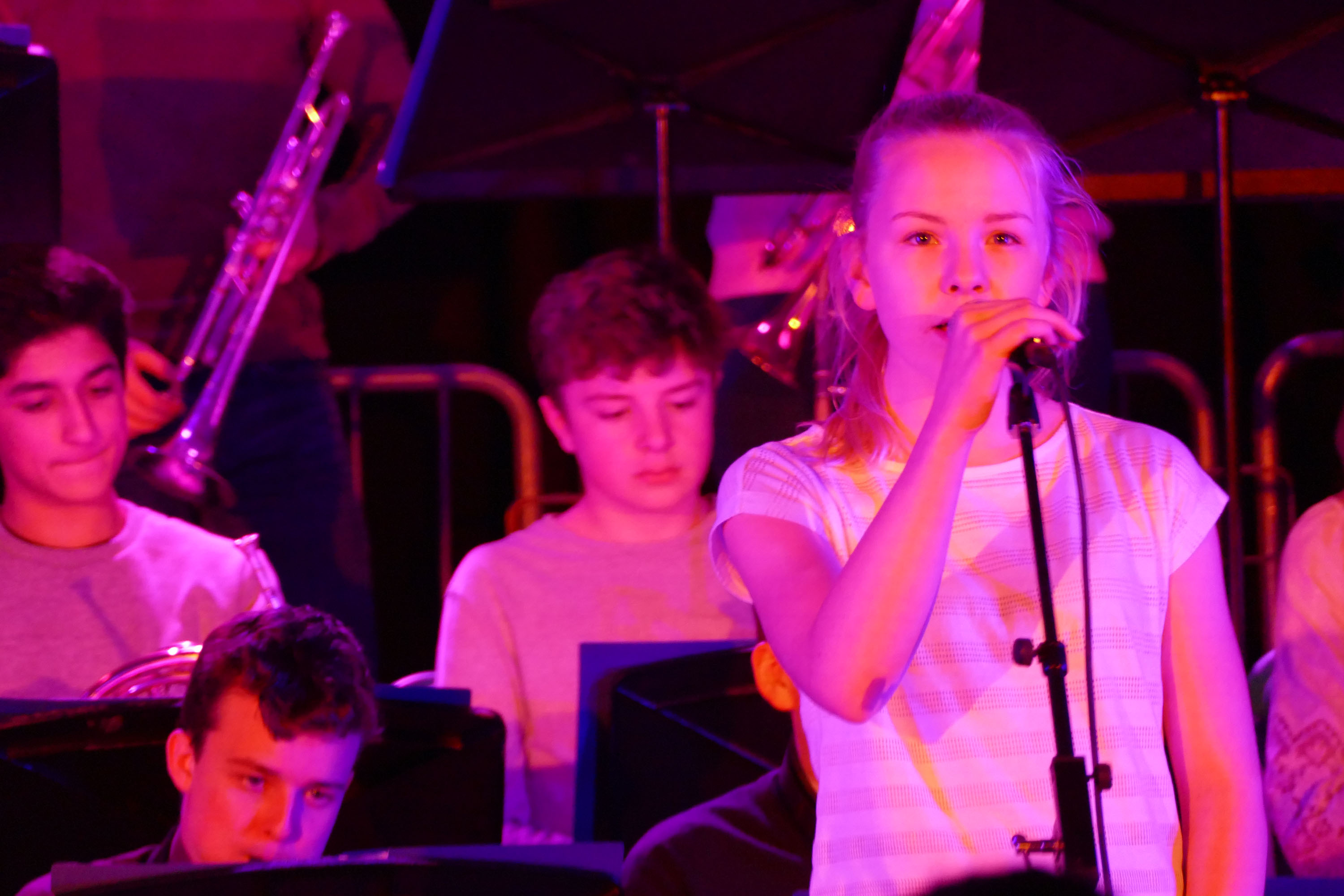 Jazz Gig in the Hospitality Suite, 24th March 2017
